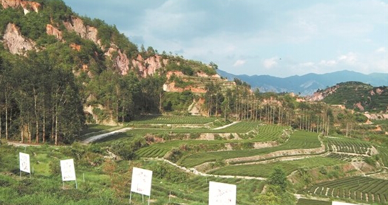 安溪縣官橋龍門(mén)花崗巖礦山地質(zhì)治理工程